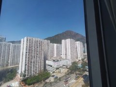 彩興苑 牛池灣 中層 000224 售盤