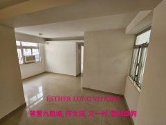 真能閣 九龍塘 T152661 售盤