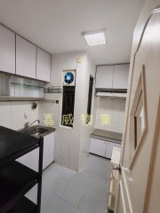 田心村 沙田 A045240 售盤