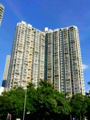 德雅苑.10分鐘大埔站.中層向東.2房大廳 大埔 中層 T080665 售盤