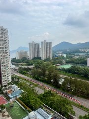 大埔中心 大埔 高層 T068064 售盤