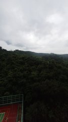浪翠園 荃灣 中層 B056515 售盤