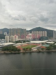 滨景花园 沙田 高层 T032562 售盘